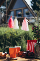 Eco-Friendly Party Planning: Sustainable Practices for Events