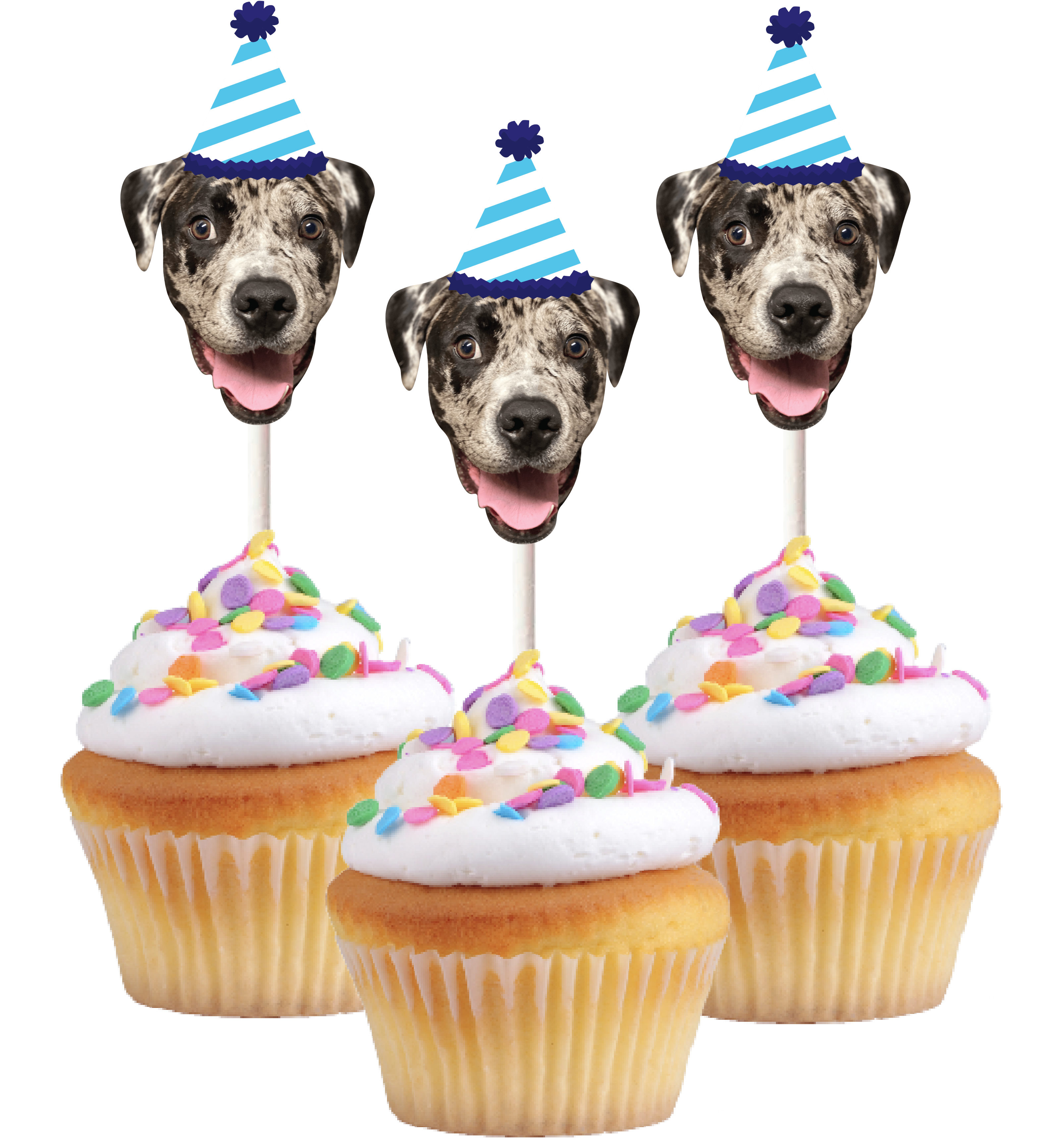 Three cupcakes with dog faces wearing party hats, indicating a dog birthday celebration.