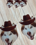 Husky dog faces with cowboy hats on a wooden surface