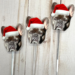 Christmas Face Cocktail Picks - Funny Photo decorations - Personalized Party Decor