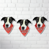 Engagement Dog Banner Mom is Getting Married!