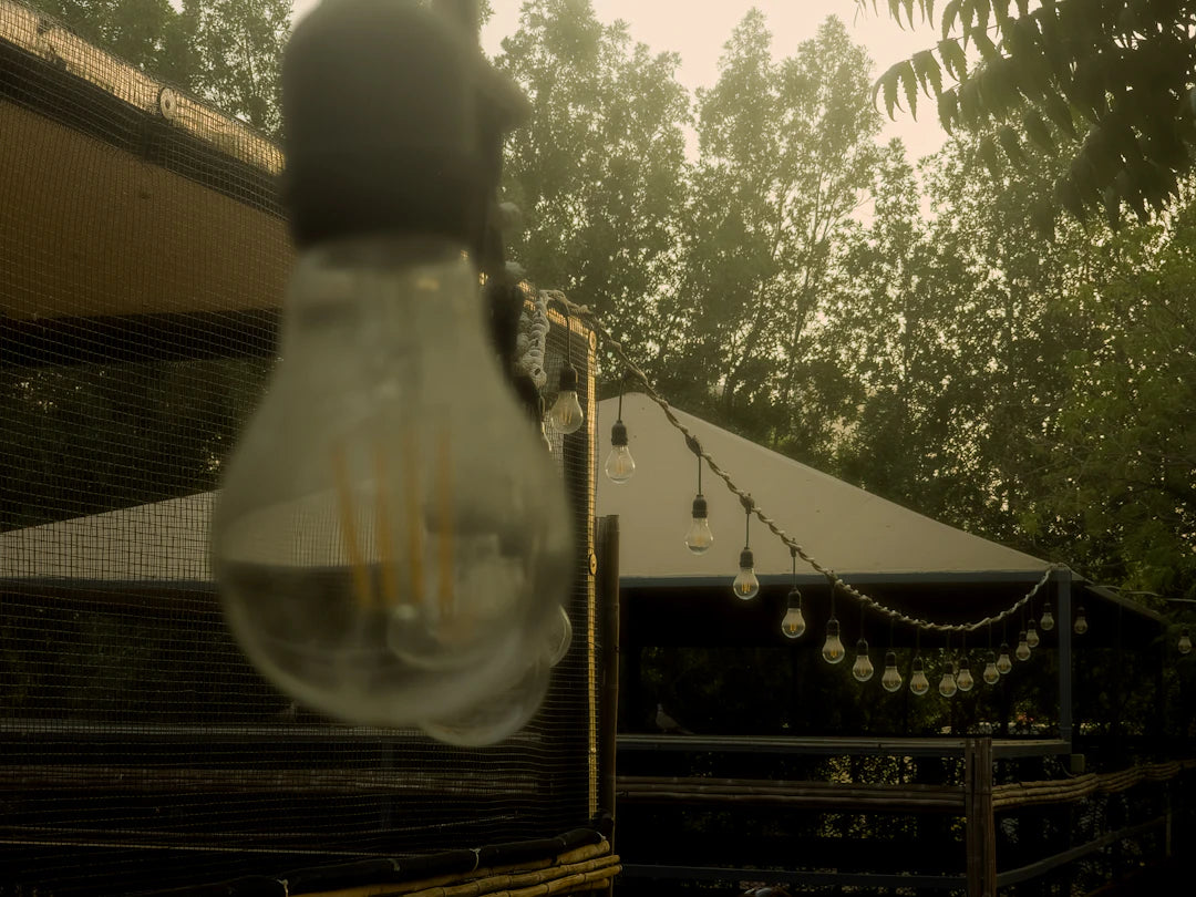 Transform Any Space with Lighting and Ambiance