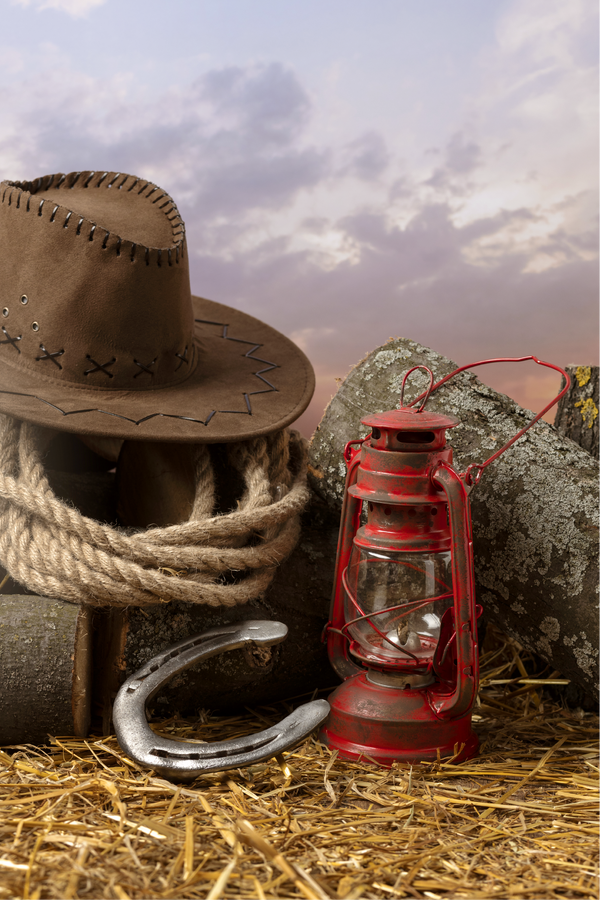 Western Theme/ Calgary Stampede