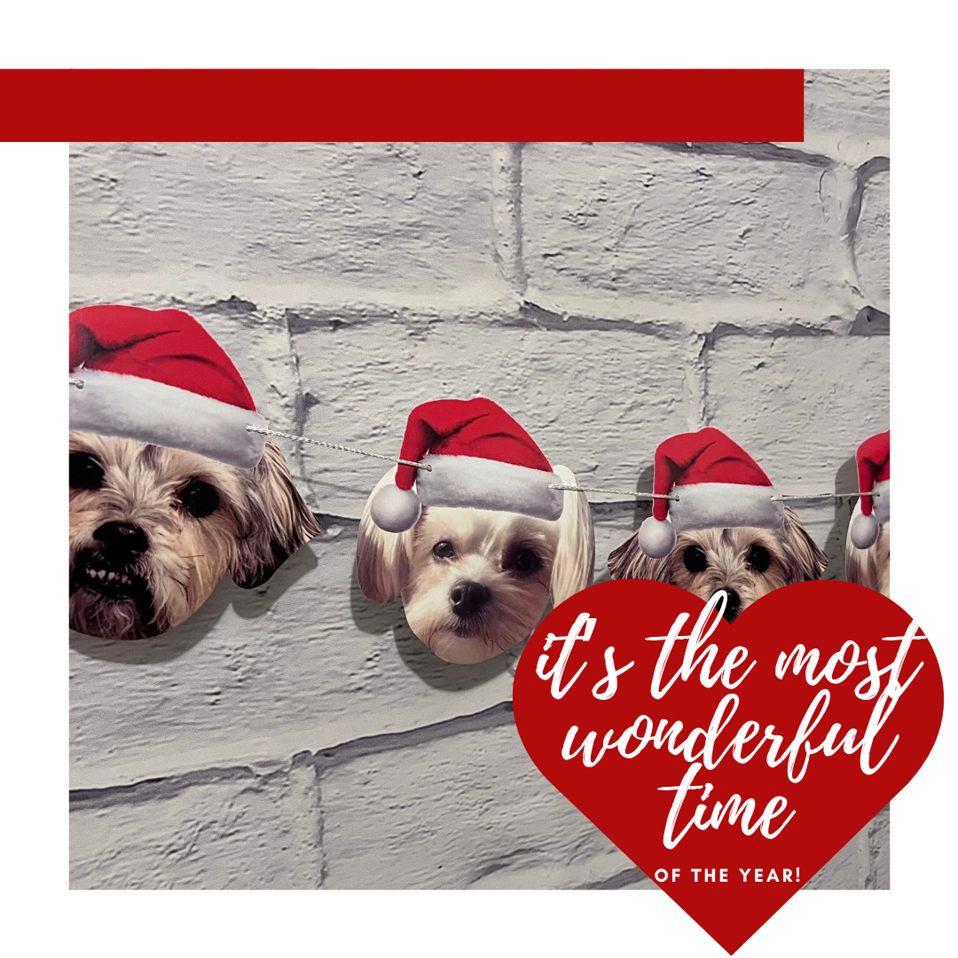 Pet Christmas Photo Garland - Santa hat banner