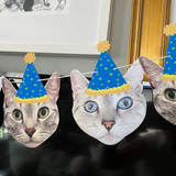 grey cat with a yellow and blue party hat hanging on string