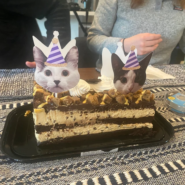 Custom Cat Party Decorations - Cupcake Toppers, Straws, Cocktail Picks, Drink Stirrers/Swizzle Sticks