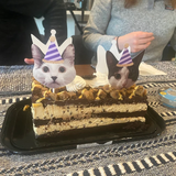 2 cats wearing matching purple striped party hats on sticks stuck into a cake