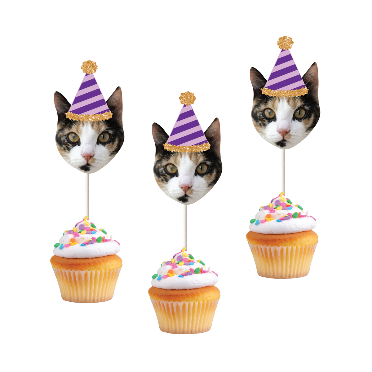 a multicolored cat wearing a purple striped party hat stuck into cupcakes with a white background