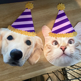 a dog beside a cat face photo cut out both wearing a purple striped party hat with a gold pom pom