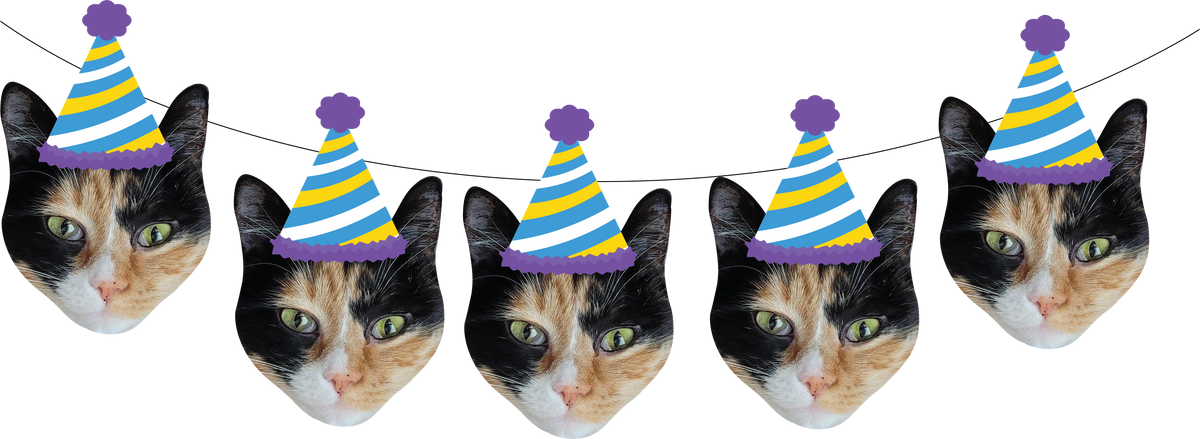 Personalized Cat Face Photo Banner - Cat Birthday Party banner