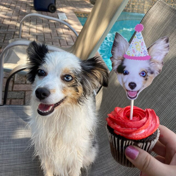 Custom dog cupcake topper with birthday hat next to real dog