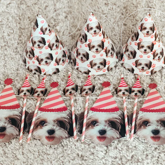 a dog wearing a pink striped party hat with matching pink straws, party hats and a strung photo banner