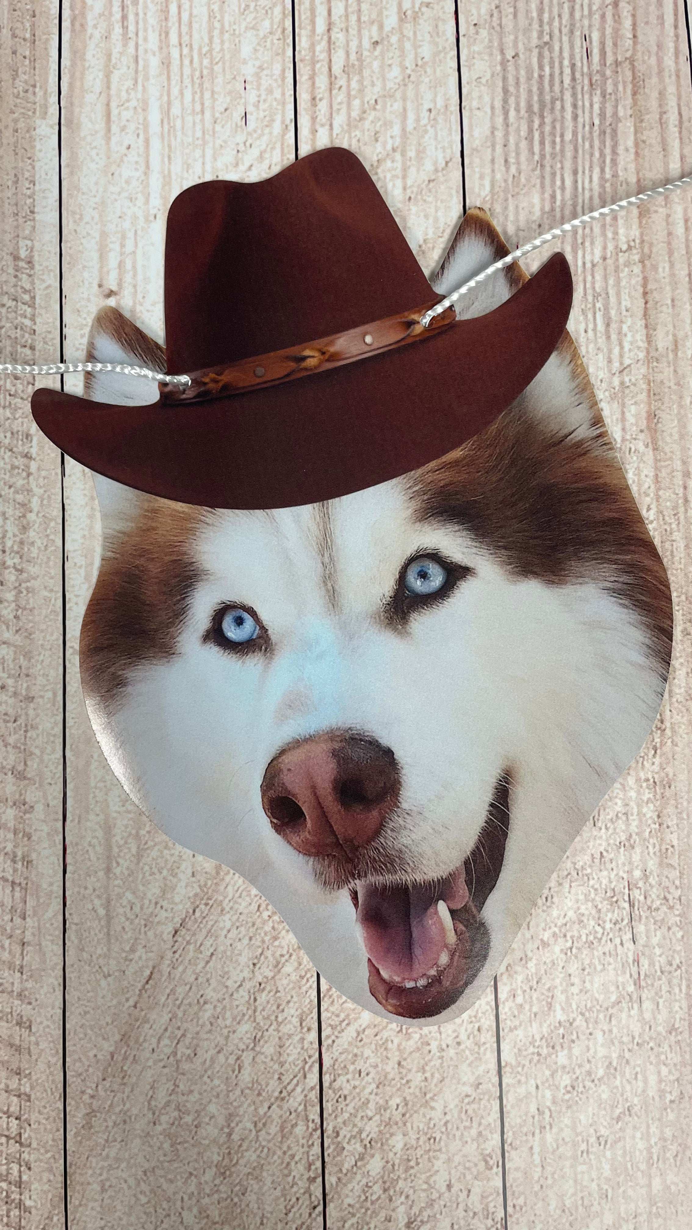 Husky dog head with a cowboy hat on a wooden background