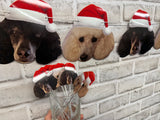 Pet Christmas Photo Garland - Santa hat banner