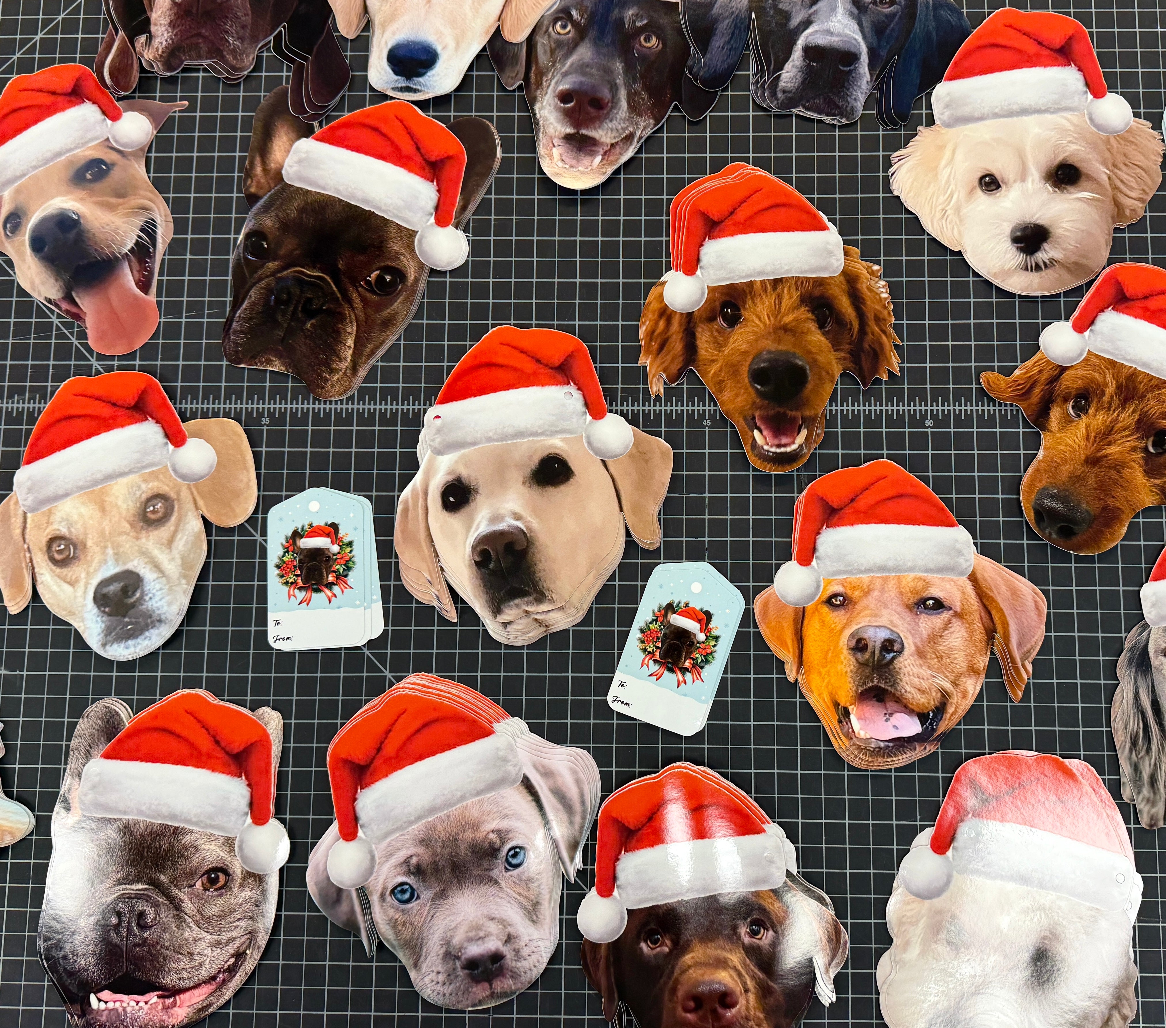 Pet Christmas Photo Garland - Santa hat banner