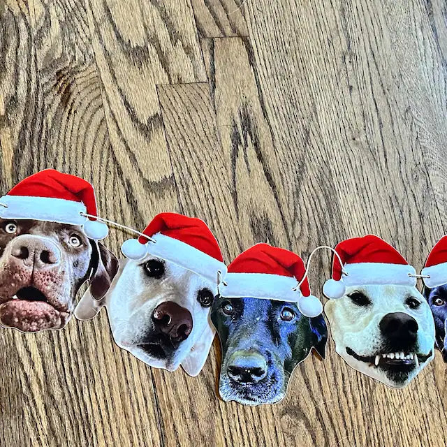 Pet Christmas Photo Garland - Santa hat banner