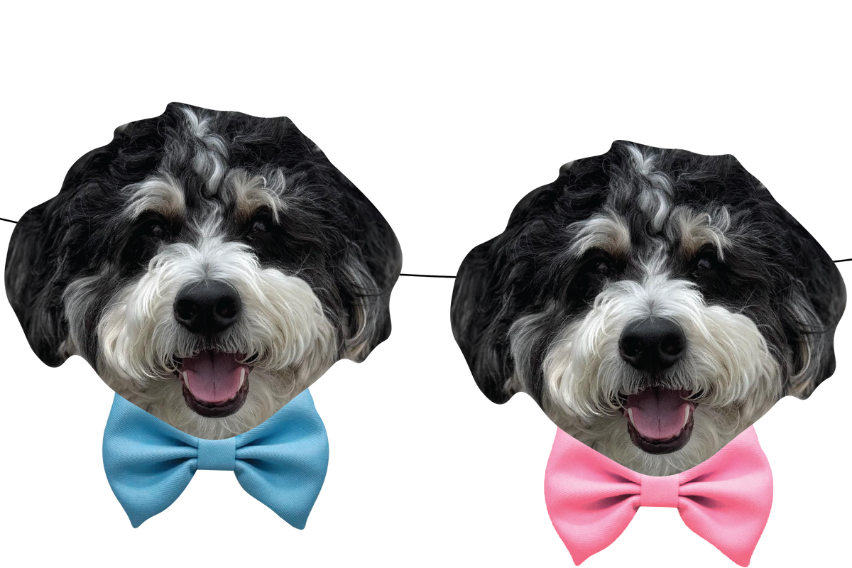 Gender Reveal Party Banner Featuring your pet!