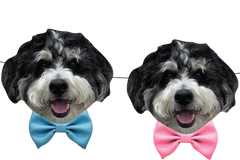 Gender Reveal Party Banner Featuring your pet!
