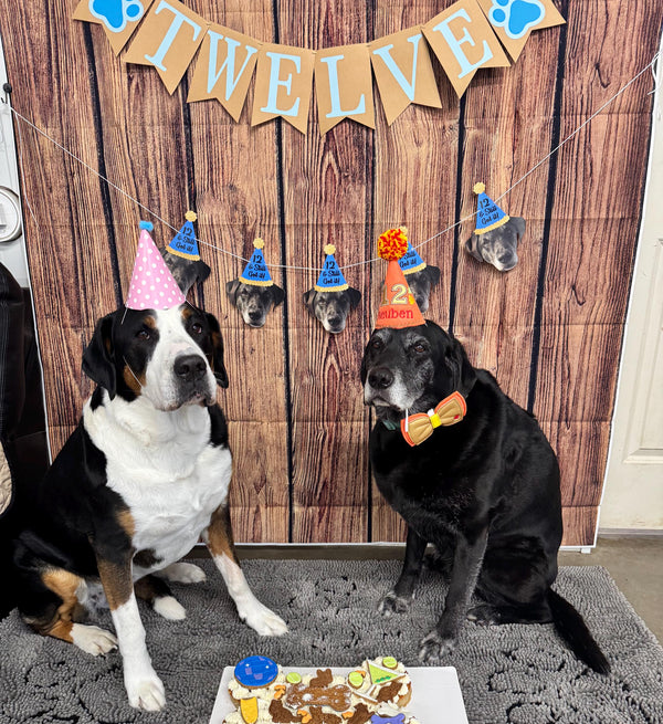 Two dogs in birthday hats sitting in front of a banner with one of the dogs wearing a party hat, with a dog friendly birthday cake in front of them