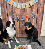 Two dogs in birthday hats sitting in front of a banner with one of the dogs wearing a party hat, with a dog friendly birthday cake in front of them