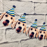 a golden retriever wearing a blue, yellow and white striped party hat, strung on a banner against a brick wall