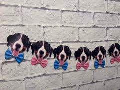 Gender Reveal Party Banner Featuring your pet! - LilyBeanGiftshop