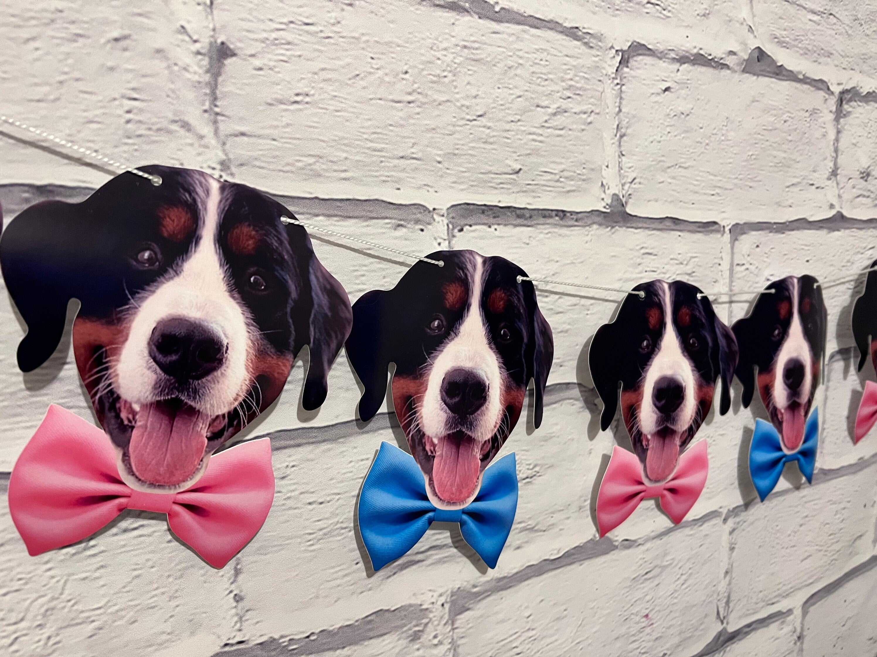 Gender Reveal Party Banner Featuring your pet! - LilyBeanGiftshop