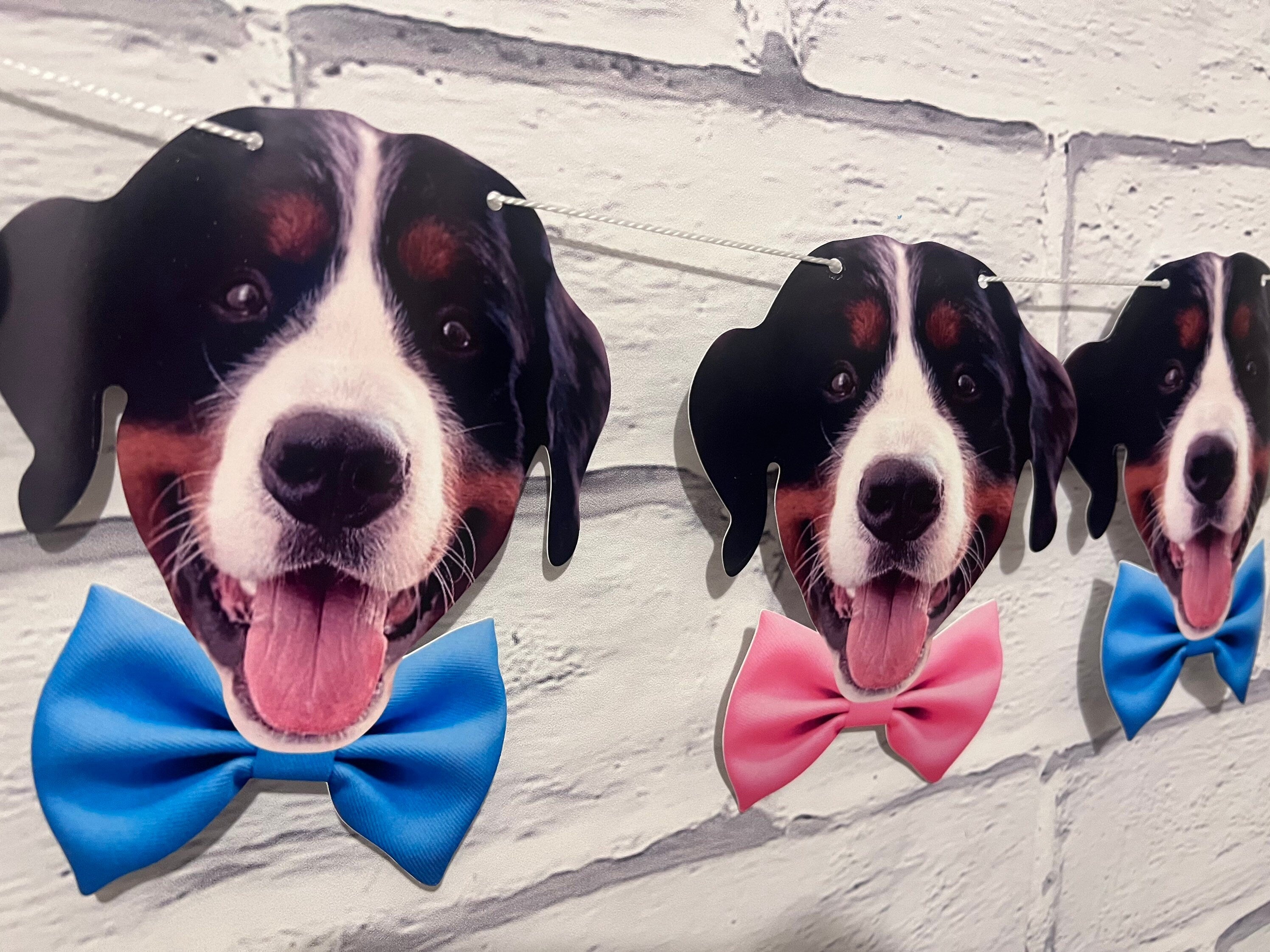 Gender Reveal Party Banner Featuring your pet! - LilyBeanGiftshop