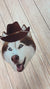 dog with blue eyes wearing brown cowboy hat